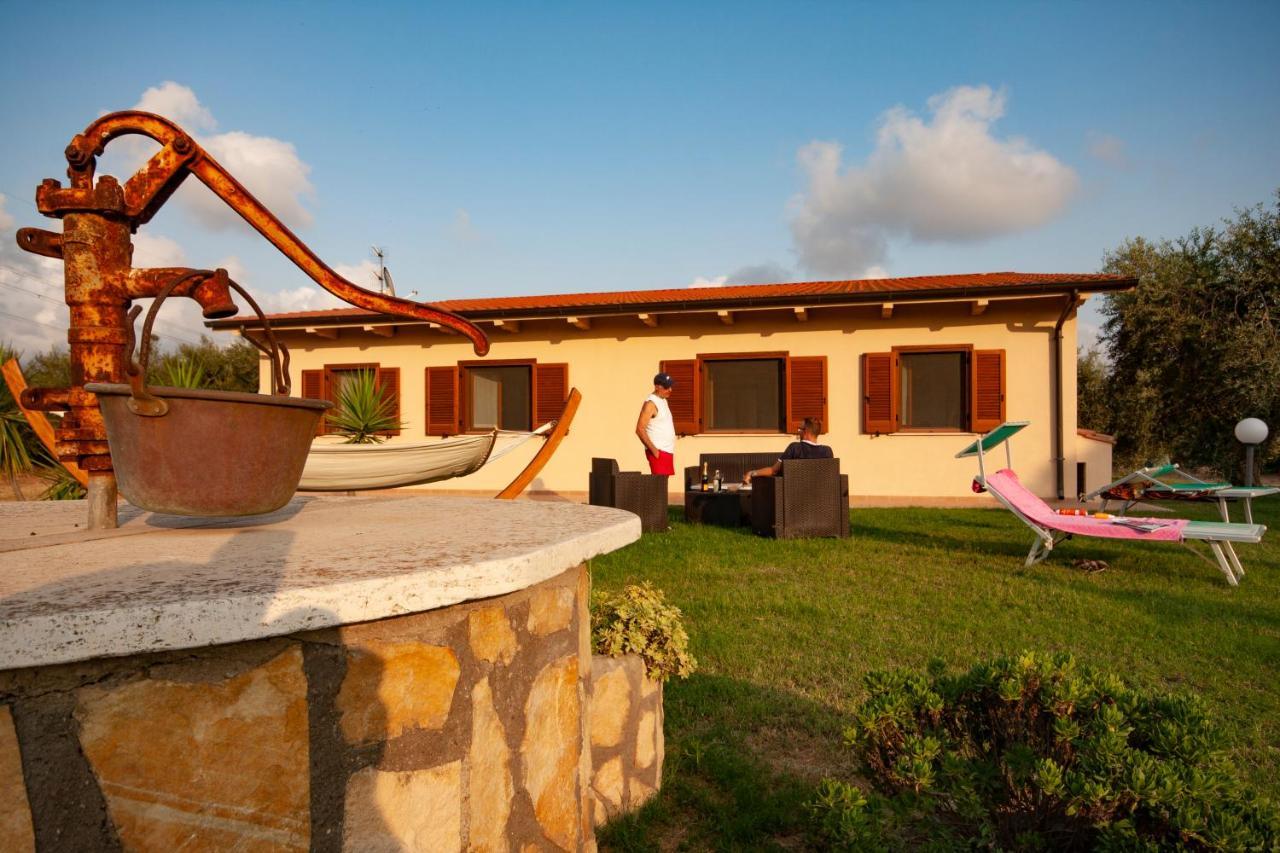 L'istrice Di Gio Montalto di Castro