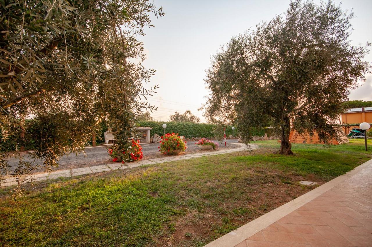L'istrice Di Gio Holiday home Montalto di Castro