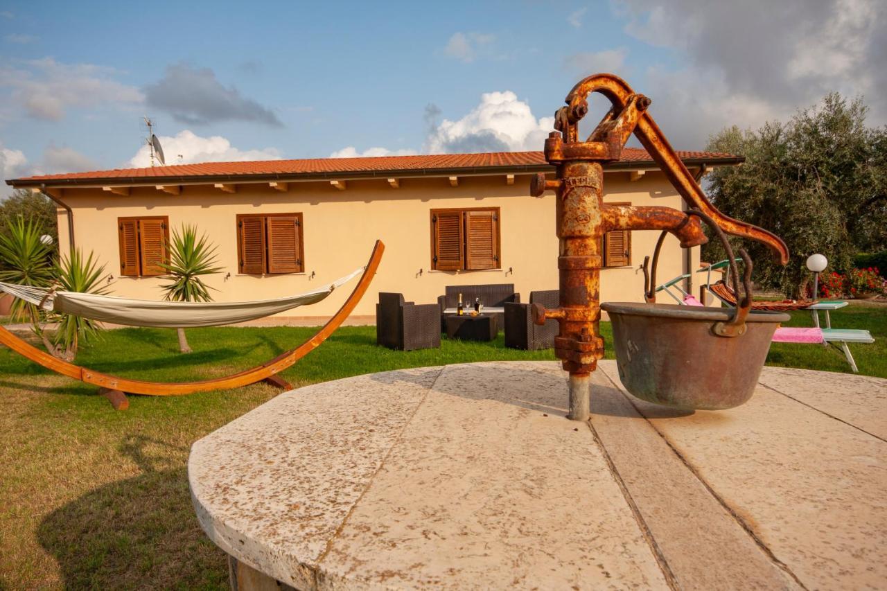 L'istrice Di Gio Montalto di Castro