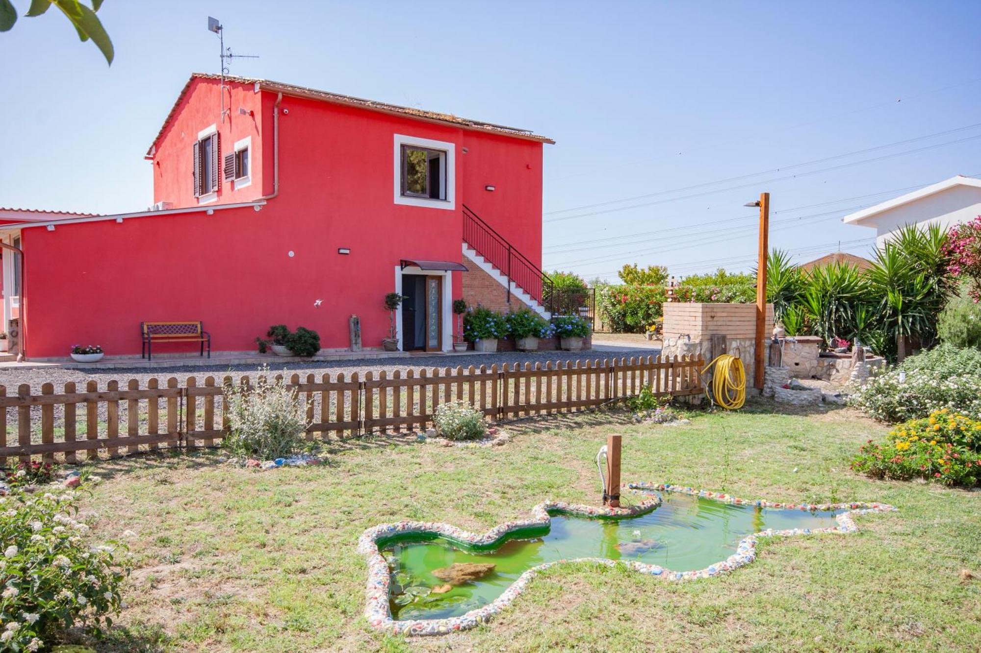 L'istrice Di Gio * Montalto di Castro