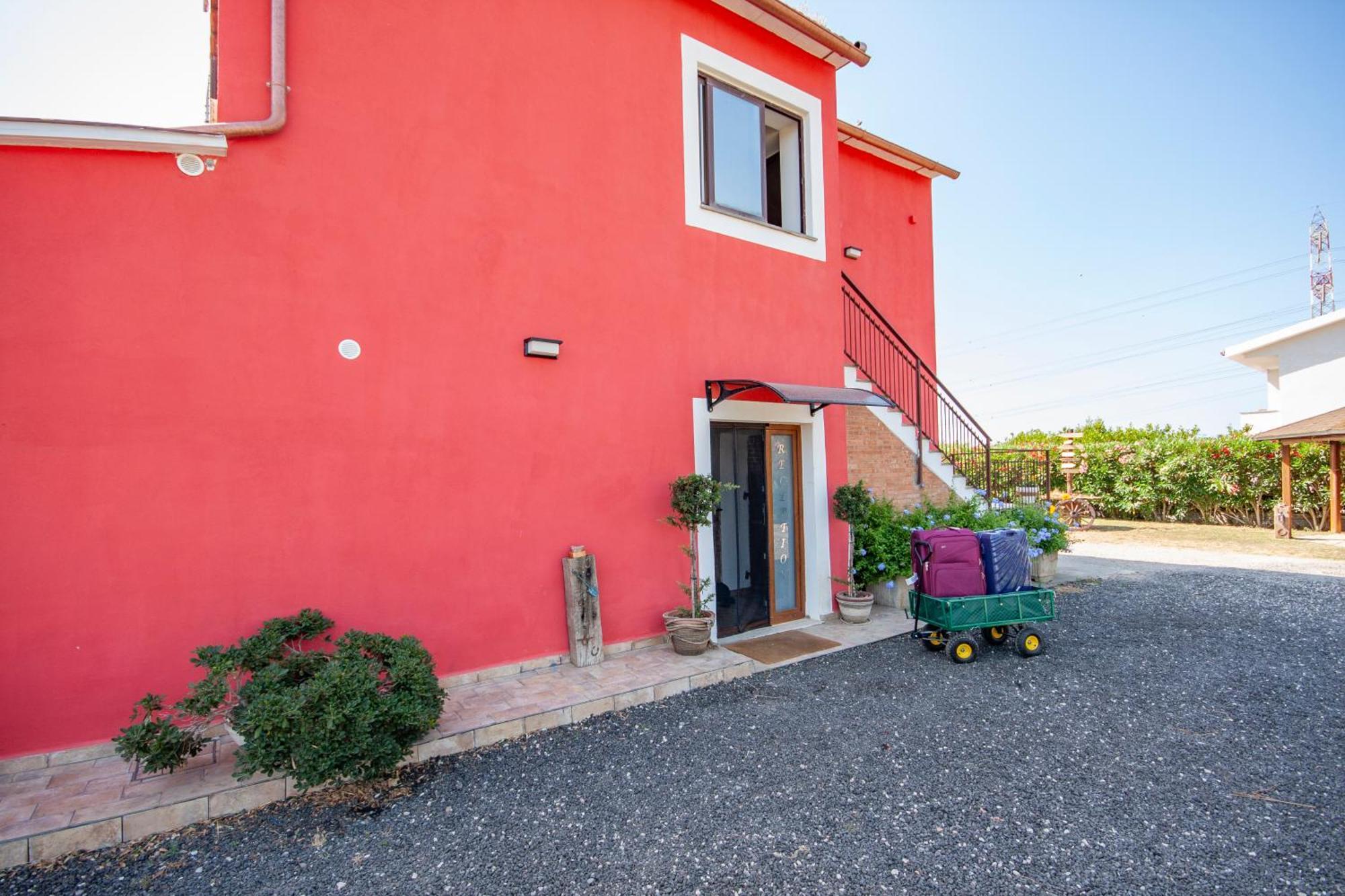 L'istrice Di Gio